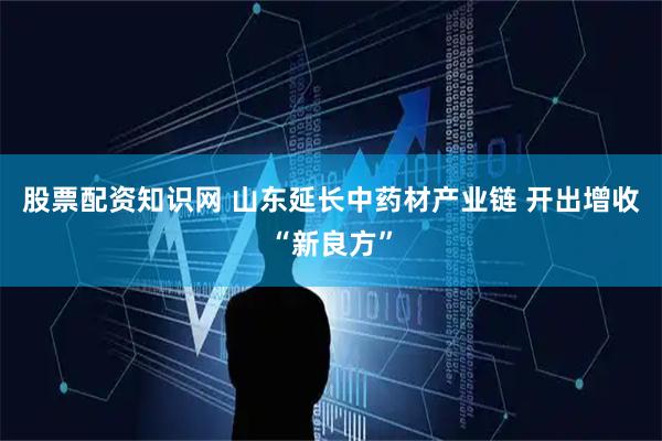 股票配资知识网 山东延长中药材产业链 开出增收“新良方”