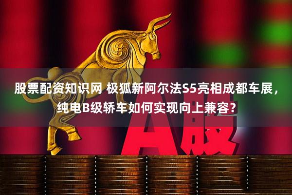 股票配资知识网 极狐新阿尔法S5亮相成都车展，纯电B级轿车如何实现向上兼容？